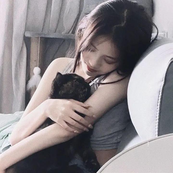 木更津猫眼 日本系列